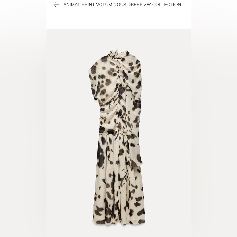 Zara dress